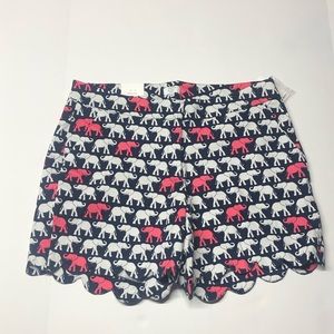Crown and Ivy curvy shorts